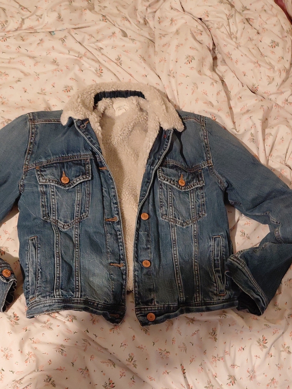 American Eagle Outfitters Blue Denim Sherpa Jacket